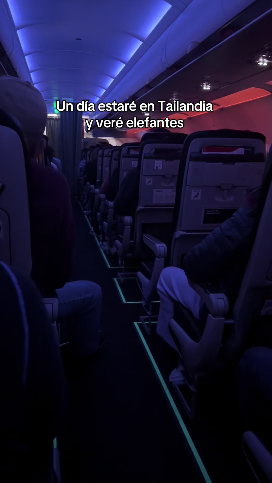 @Ana Maria Perez