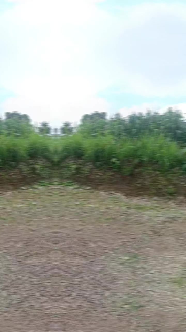 @कमला सुनार