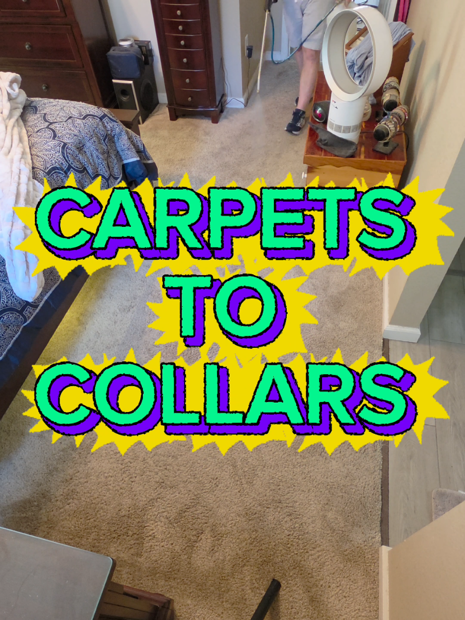 @The Carpet Daddy