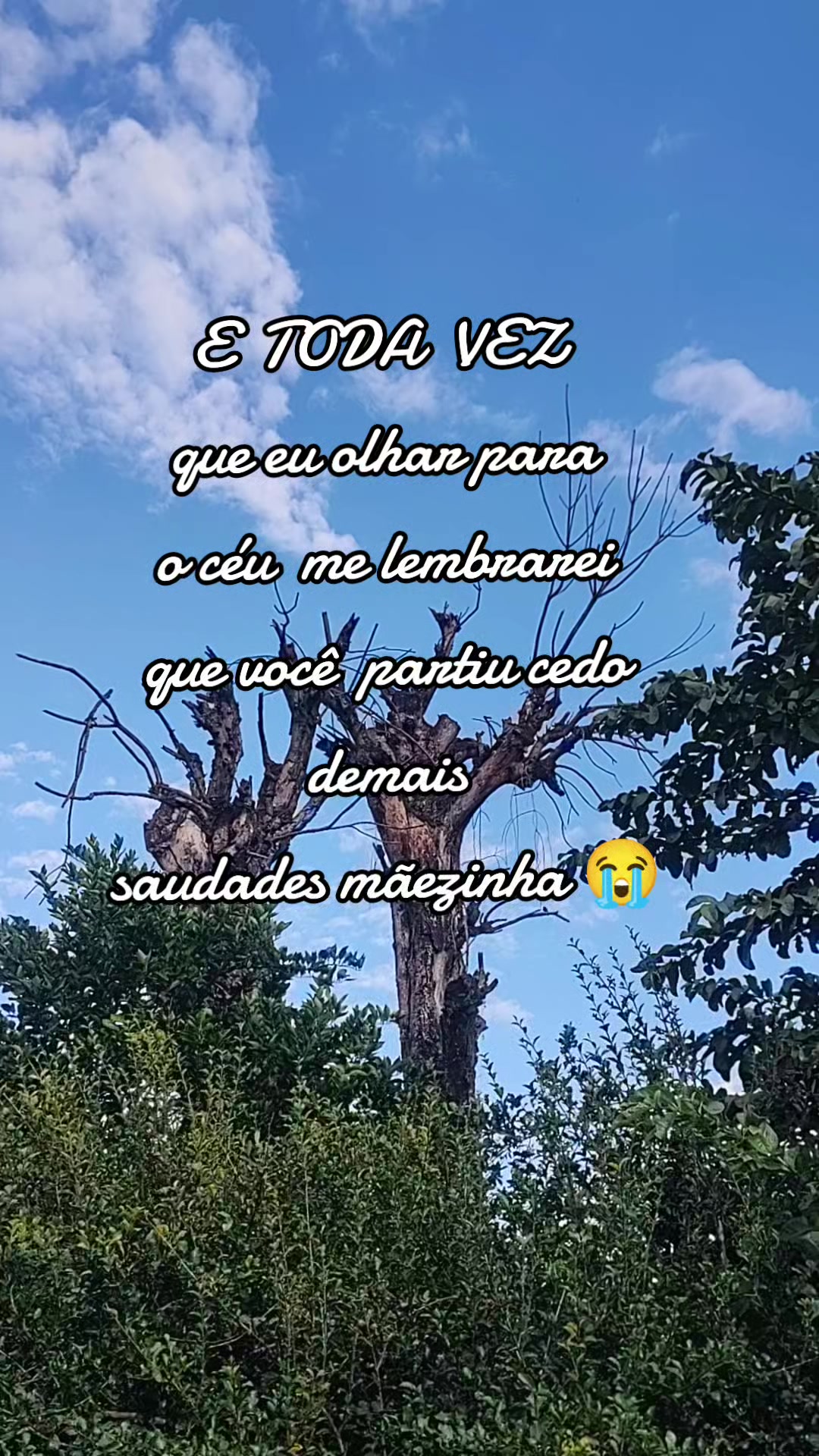 @Juliana Caruso
