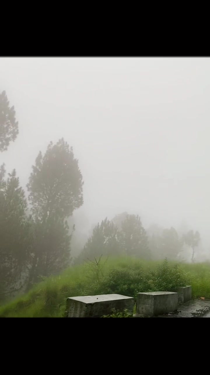 @SAEED PANSOTA