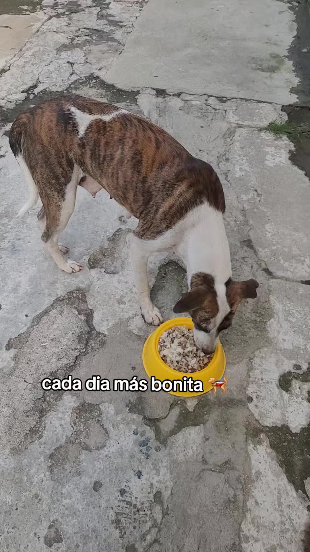 @𝕃𝕚𝕤𝕤 ℝ𝕖yes🇸🇻
