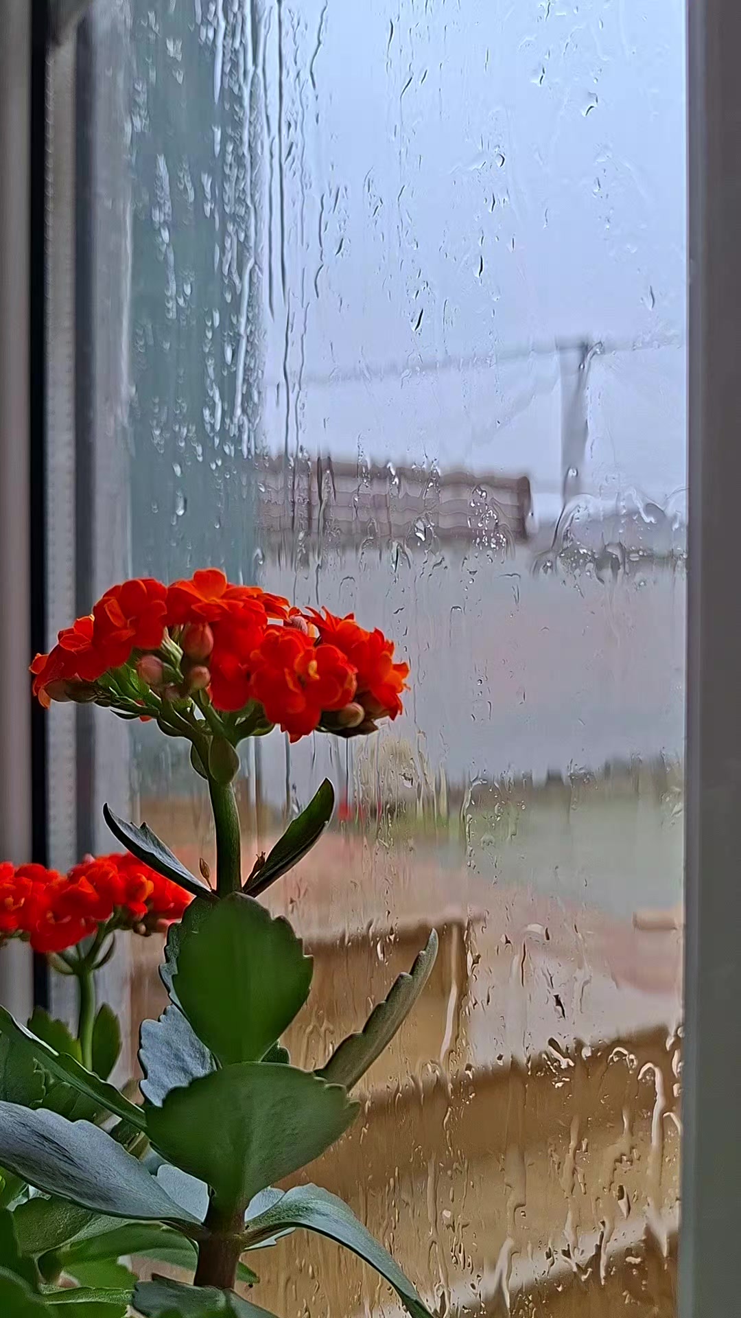 @𝓐𝓻𝔃𝓾_𝓜𝓪𝓭𝓪𝓭𝓸𝓿𝓪
