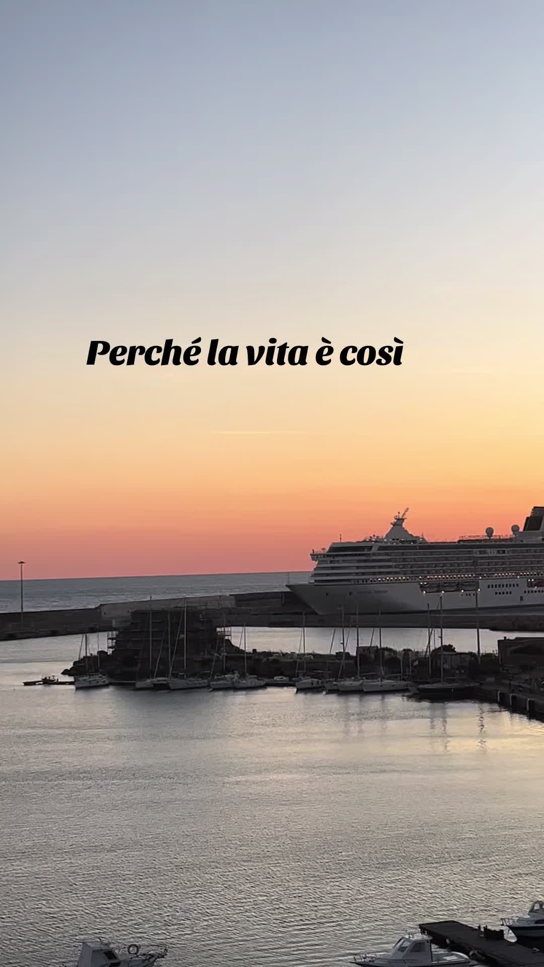 @Luna chiena