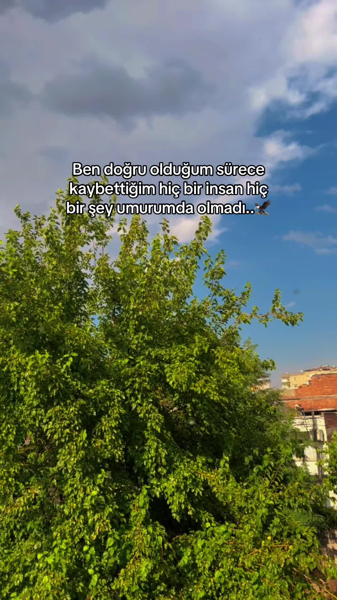 @𝑺𝒕𝒆̂𝒓𝒌☀️