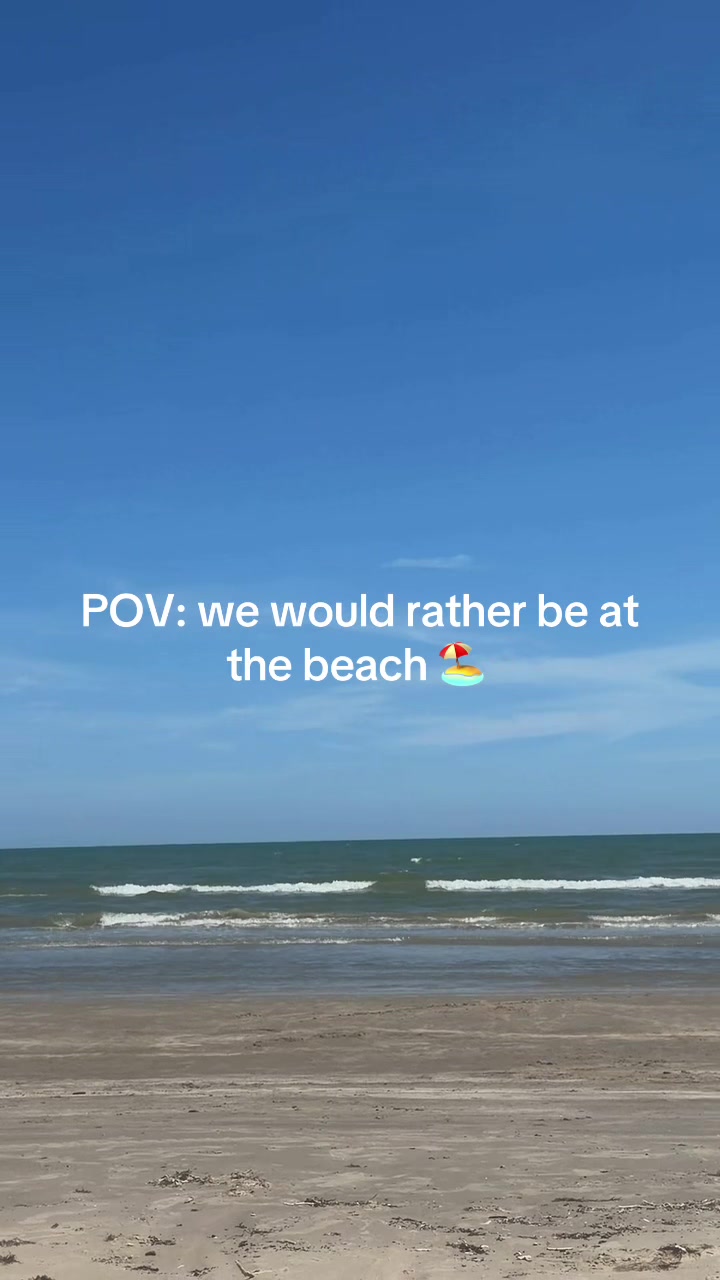 @Roman The Beach 🐾
