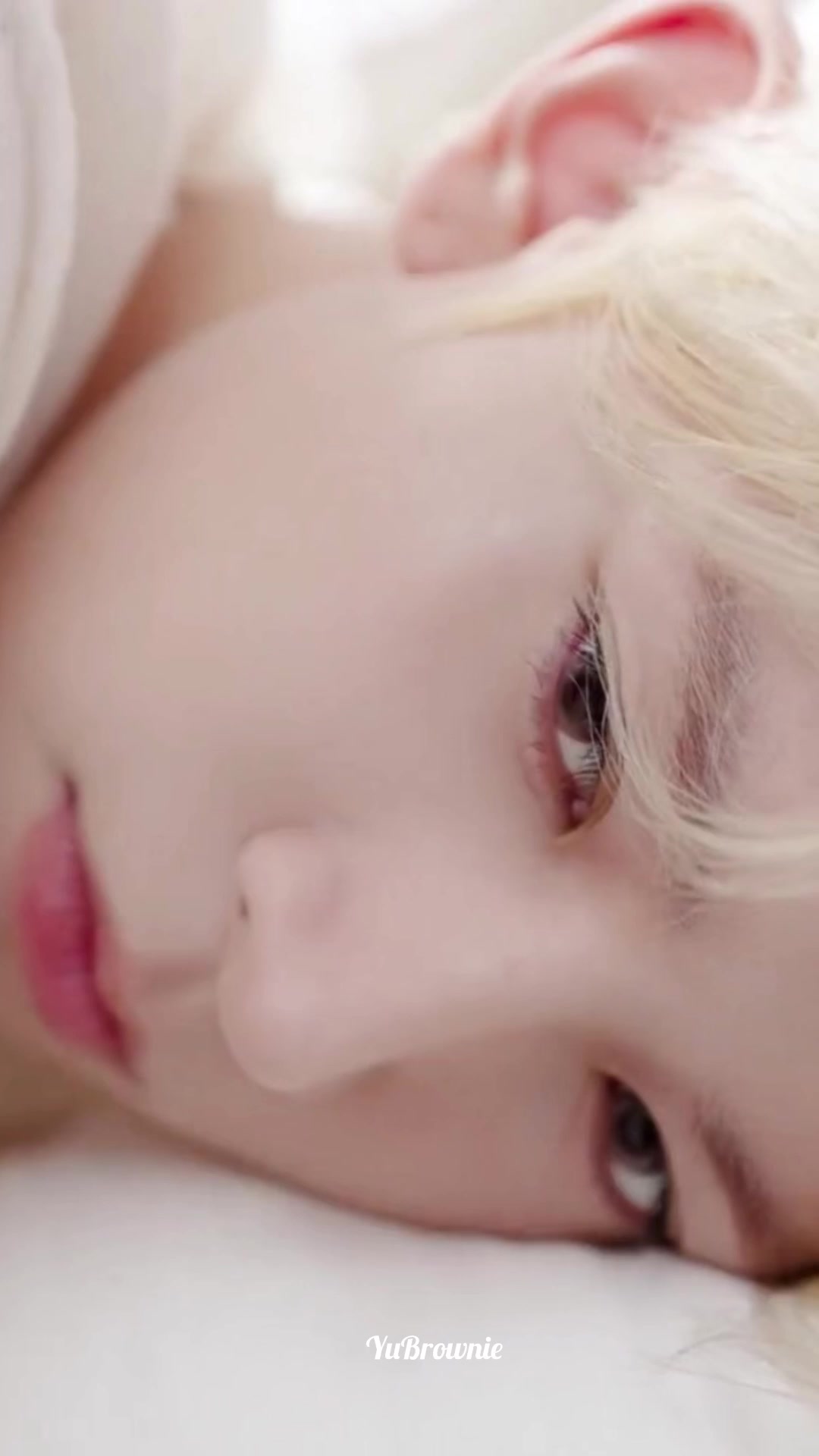 @YuBrownie🐹