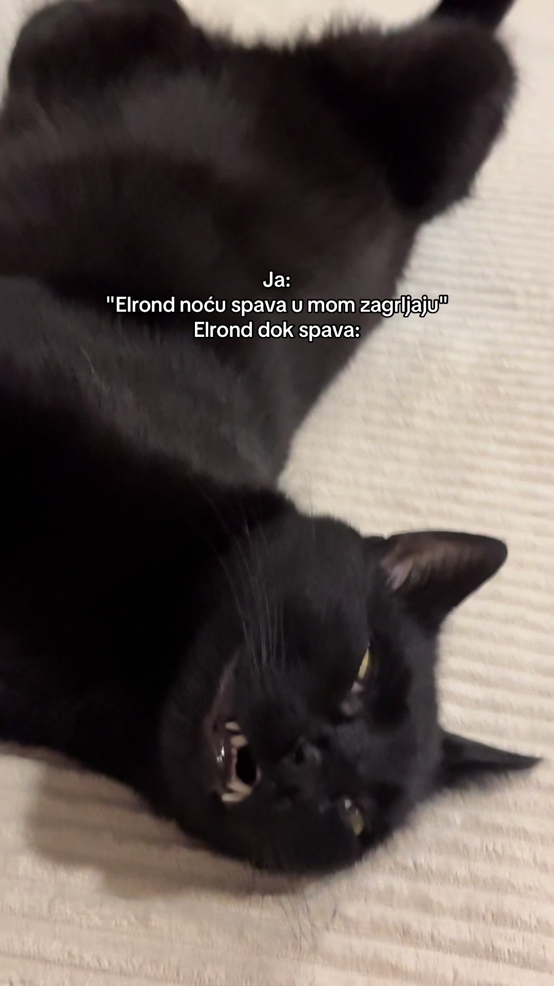 @Nymeria