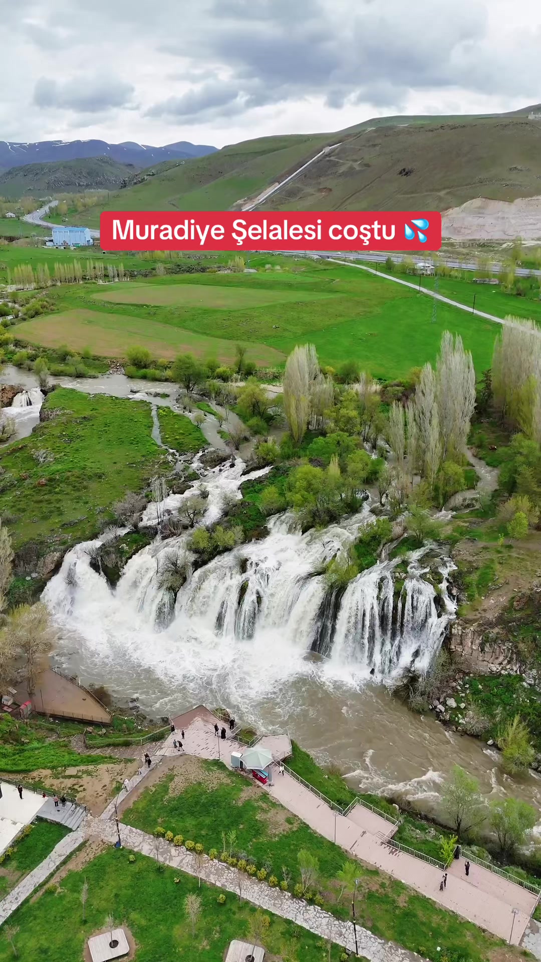 @Muzaffer Salcıoğlu