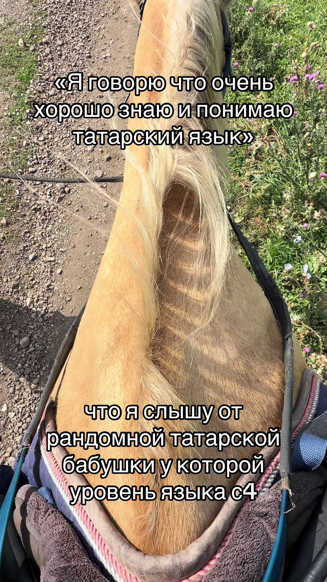 @татарчик