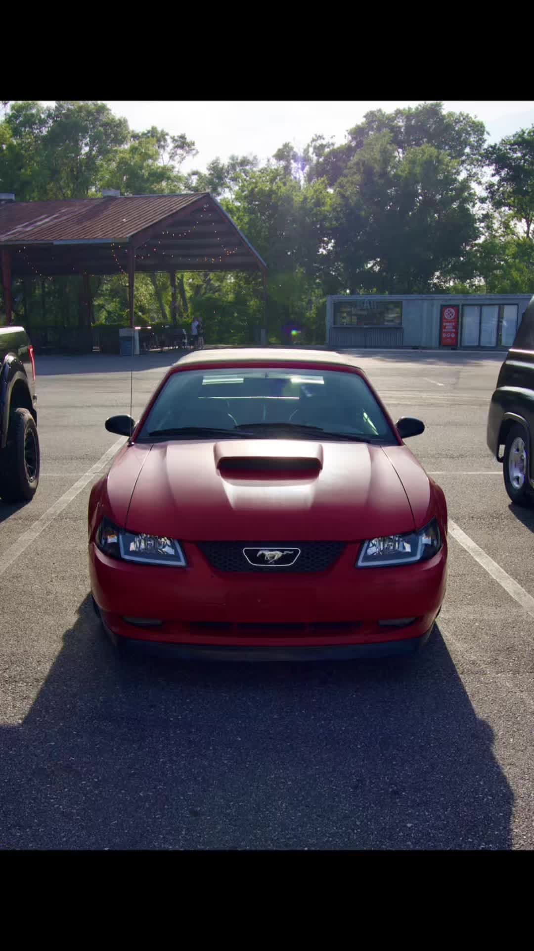 @that.new.edgemustang
