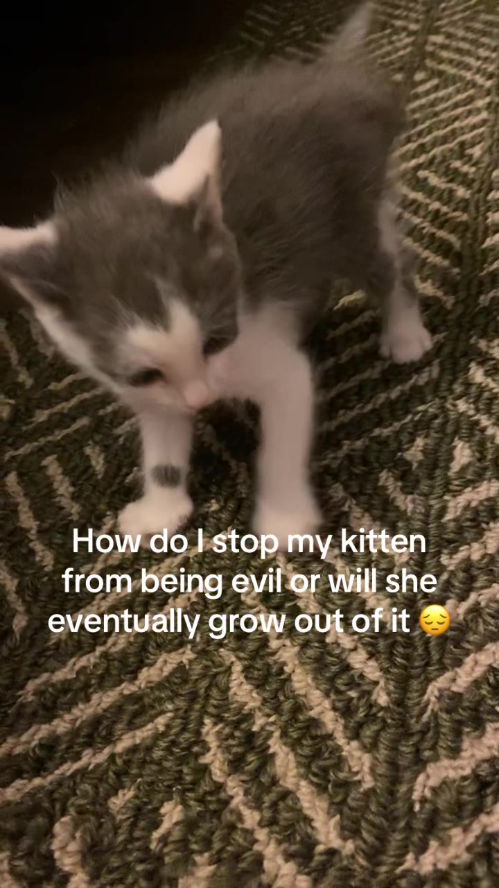 @babydollvelvet