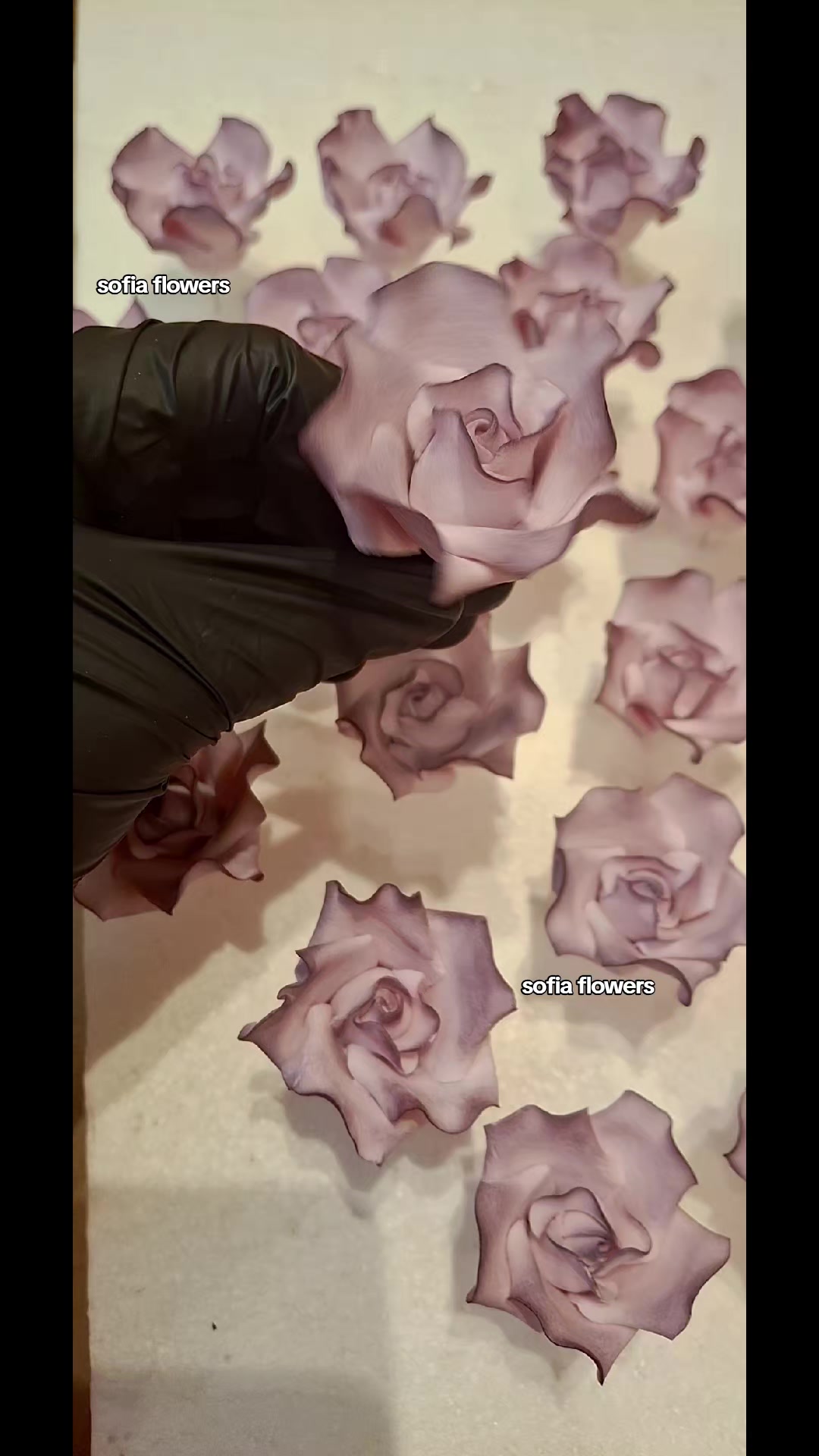 @✨️Sofia flowers✨️