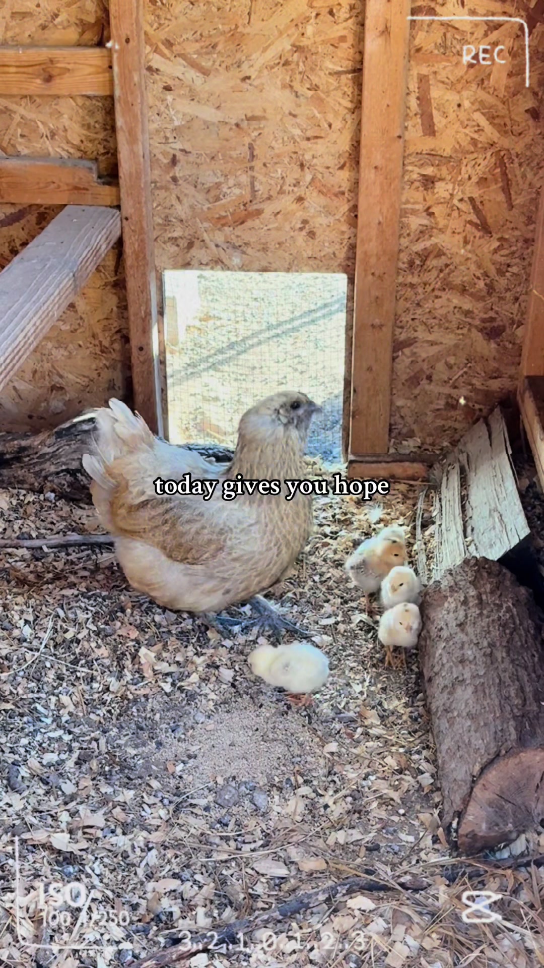 @Tracy Friend Stubble