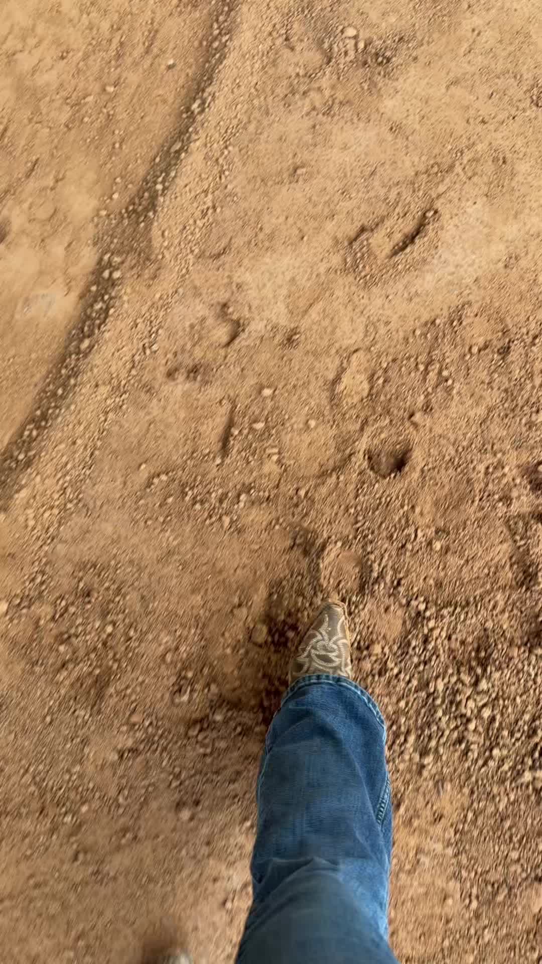 @monicamconnectsdfw