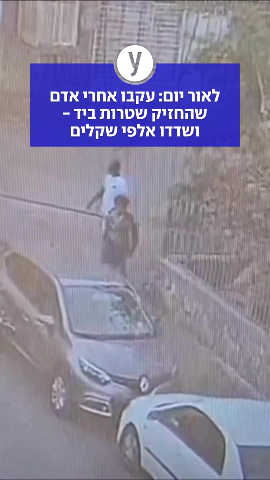 @ynet