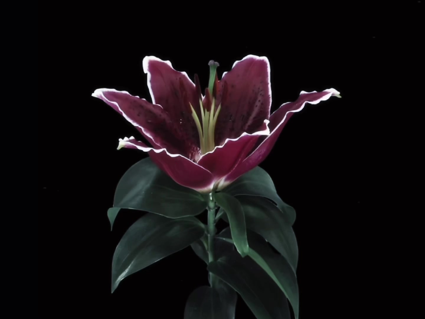 @ᶻ 𝗓 𐰁