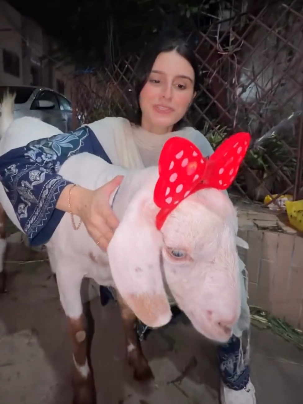 @fariha_safdar