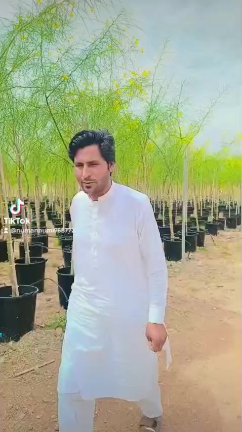 @Zarshad Ahmad