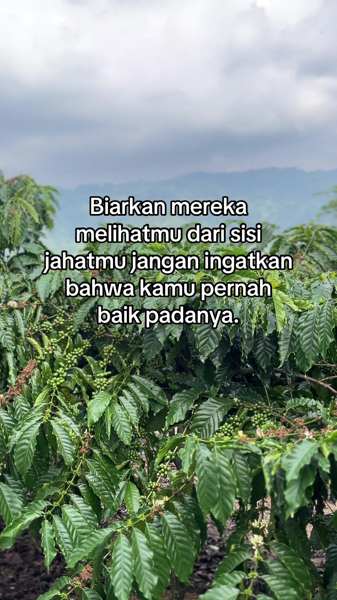 @Prof ☕️ MILENIAL