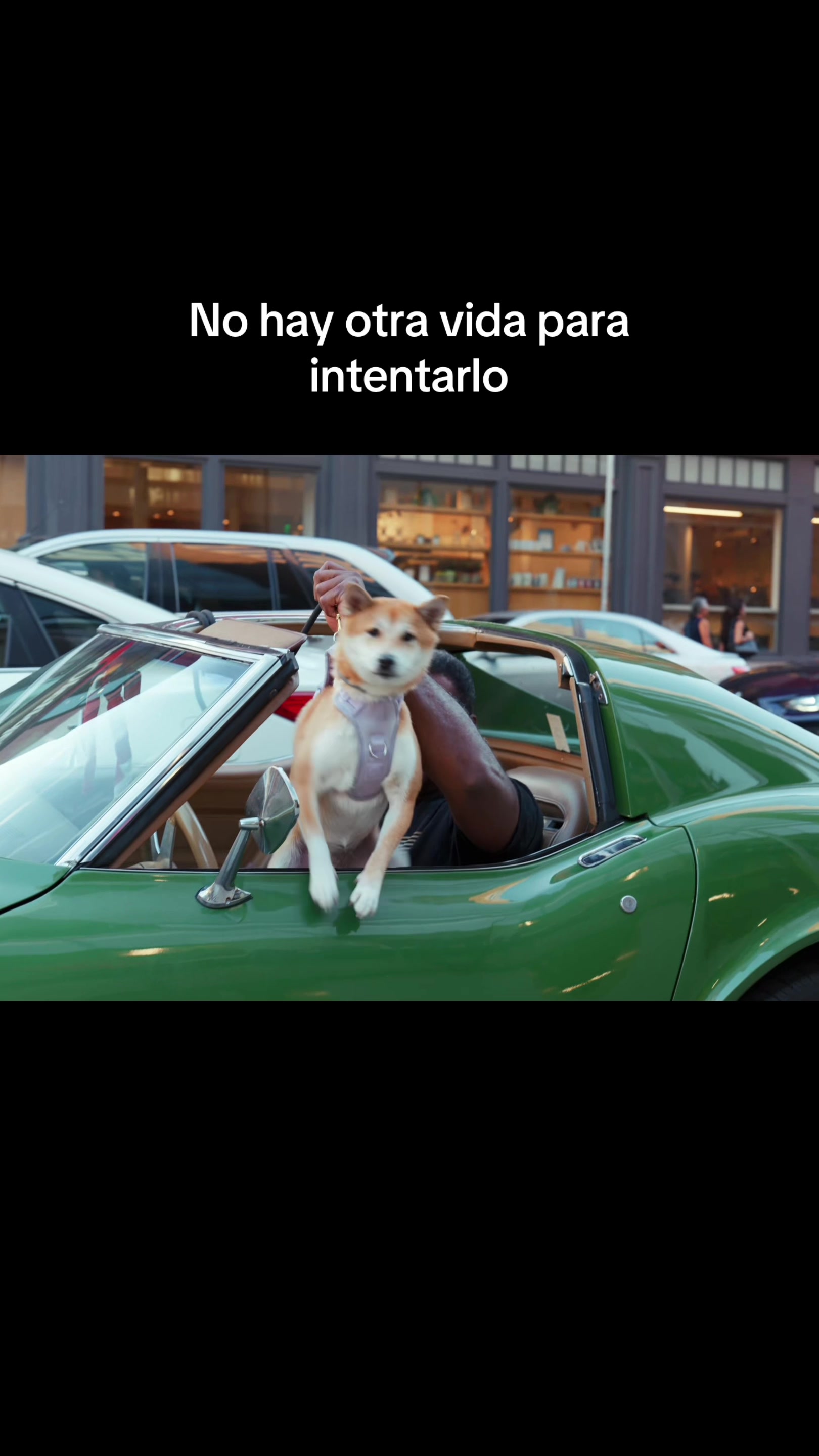 @Fede