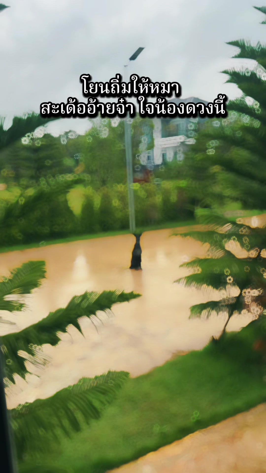 @-LukNamToJung-