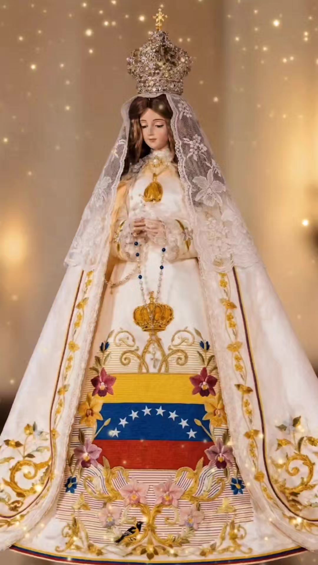 @videosimpactantes
