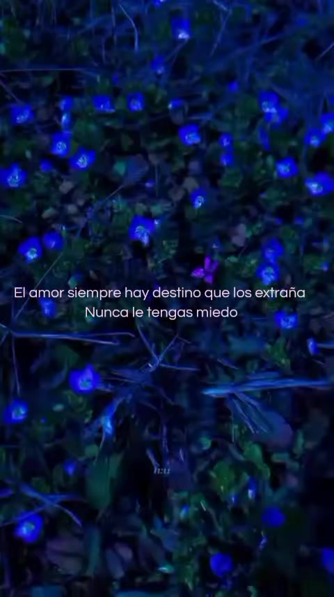 @lakita__yt2 🪽🪽