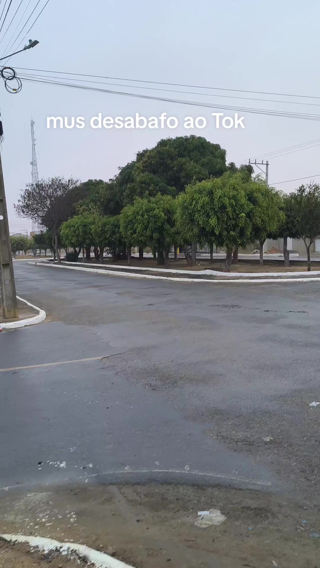 @Gilmar Ferreira 13791