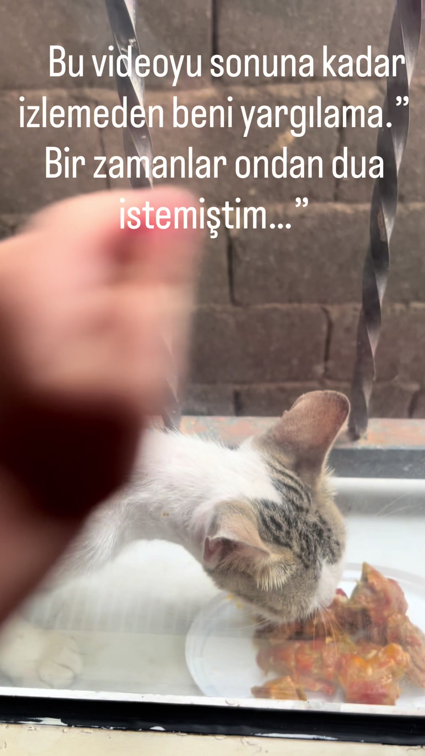 @Yıldız Ailesi