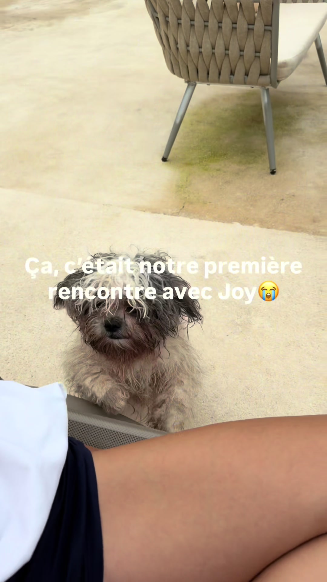 @milaydiebujold