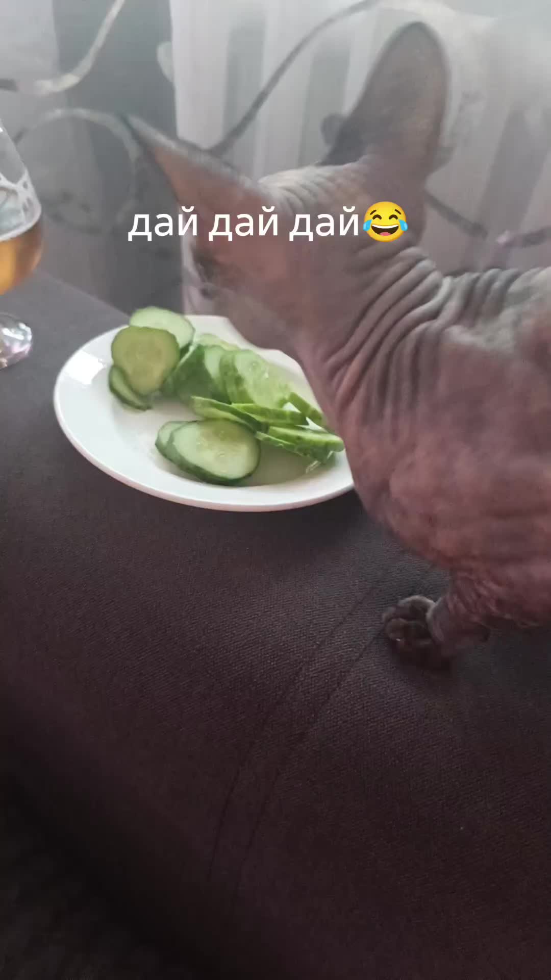 @Ilonka