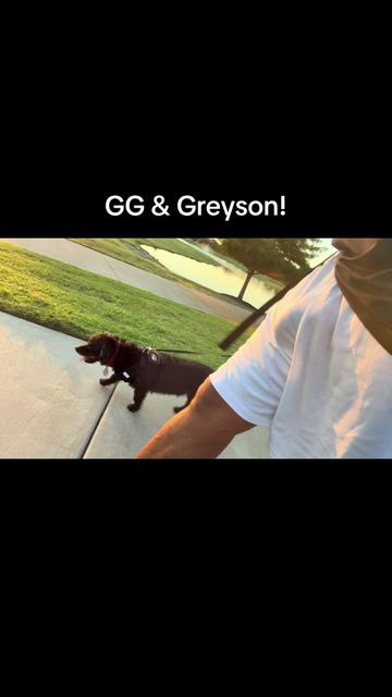 @Greyson Chamberlain