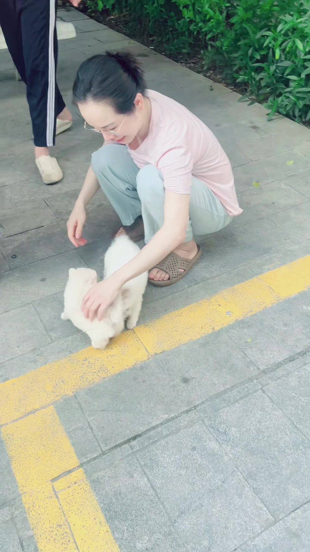 @THẾ GIỚI CH&Oacute; M&Egrave;O XINH😘