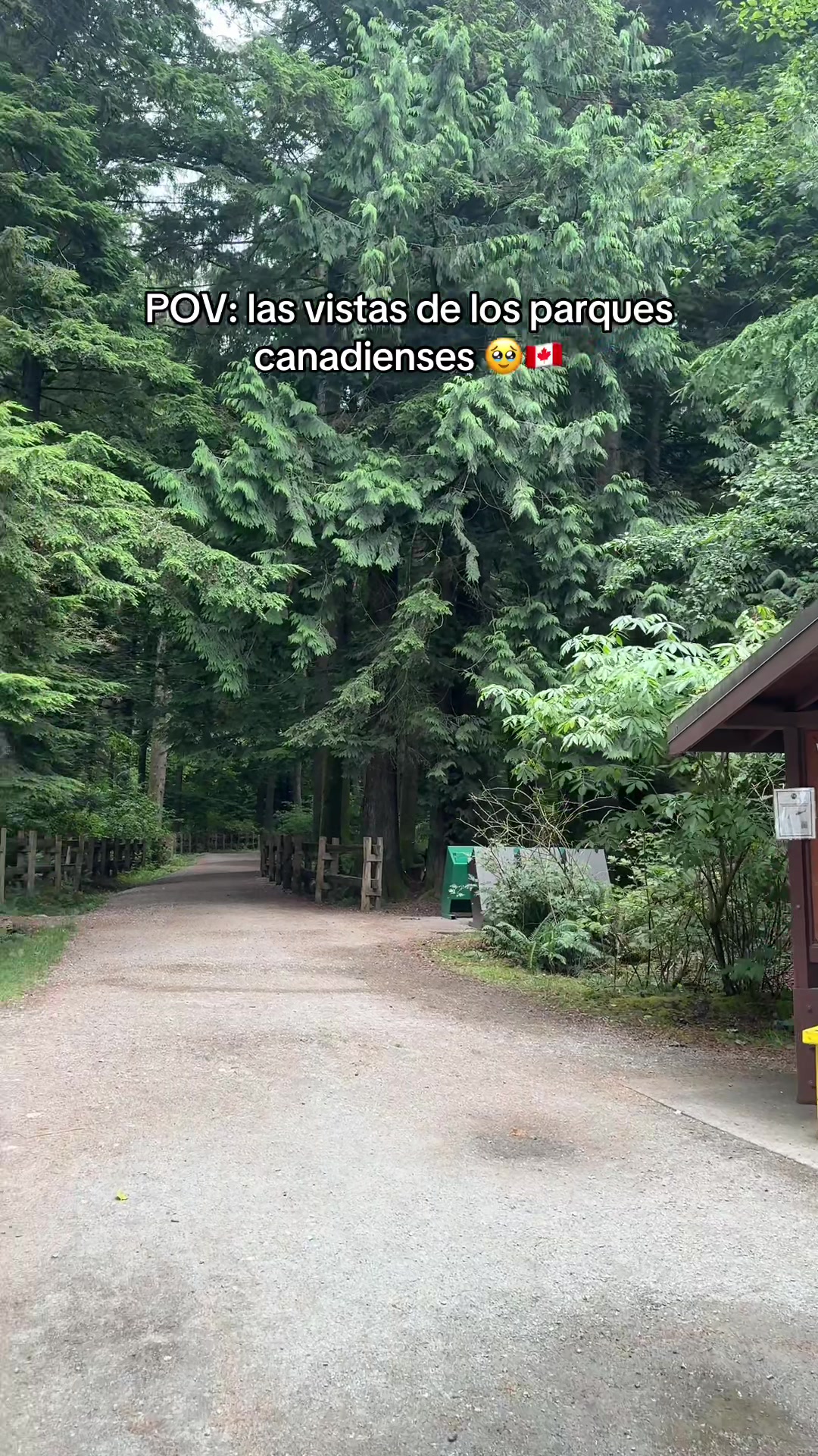 @Steph || Vivir en Canadá 🇨🇦