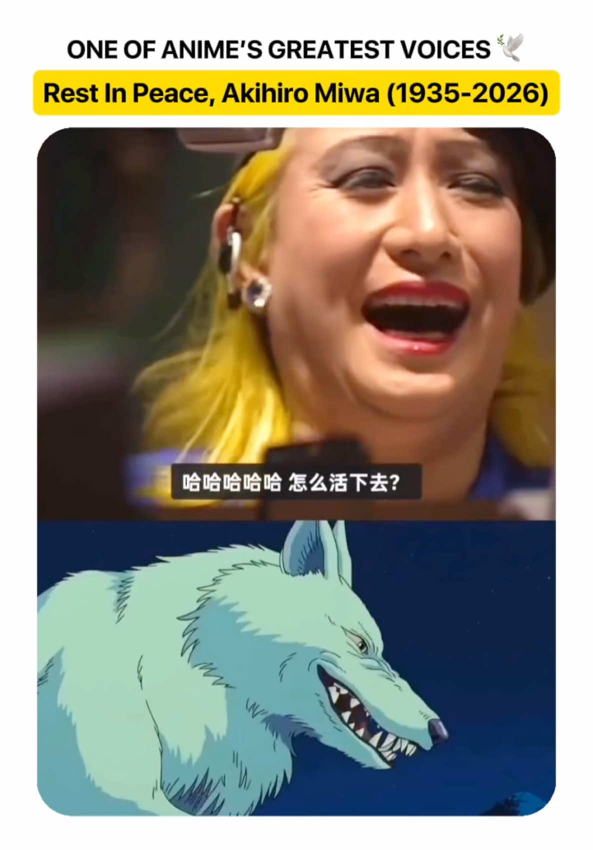 @Japan Songs Daily
