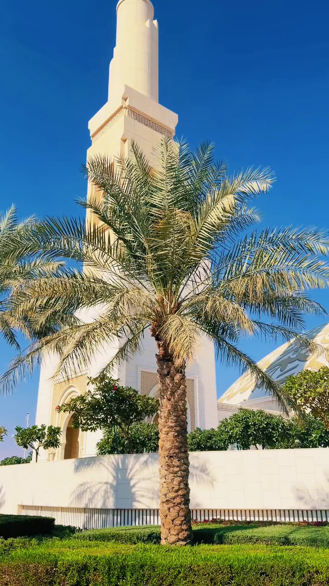 @Shafi3568