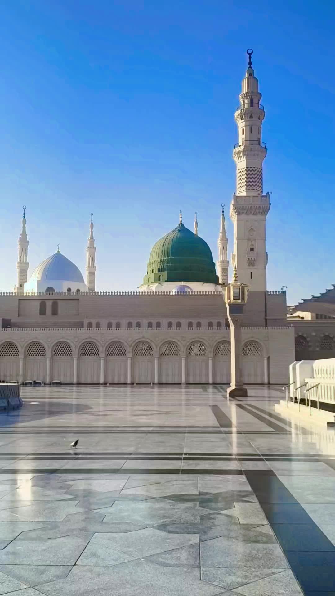@SAMI MALIK