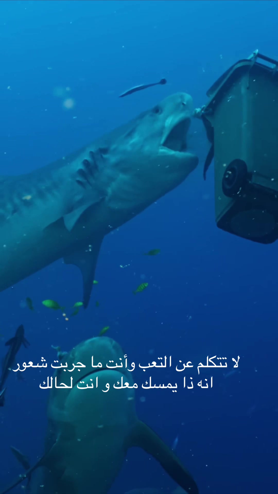 @عبدالهادي الشهري
