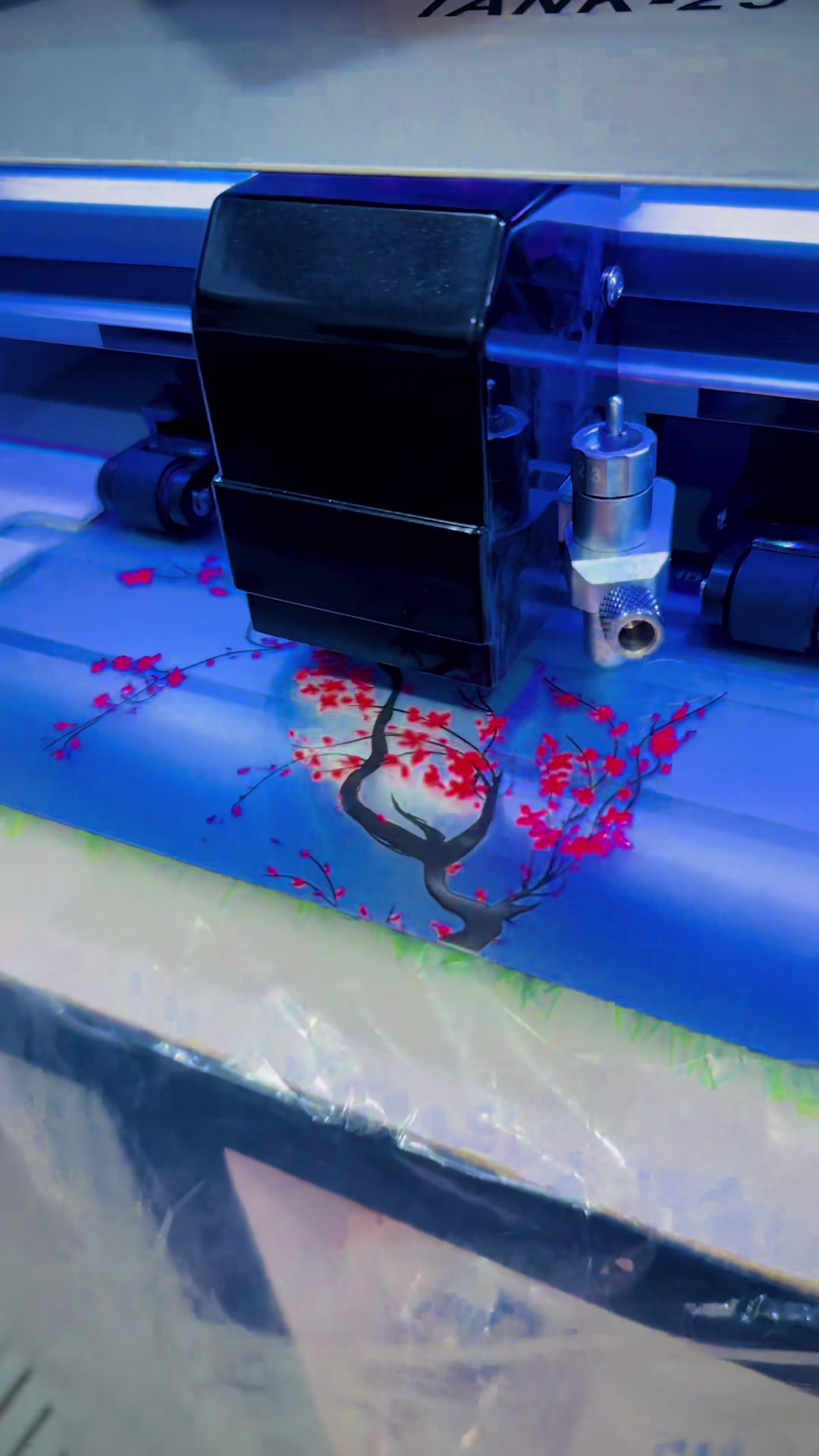 @Ladla Ahmad Jutt