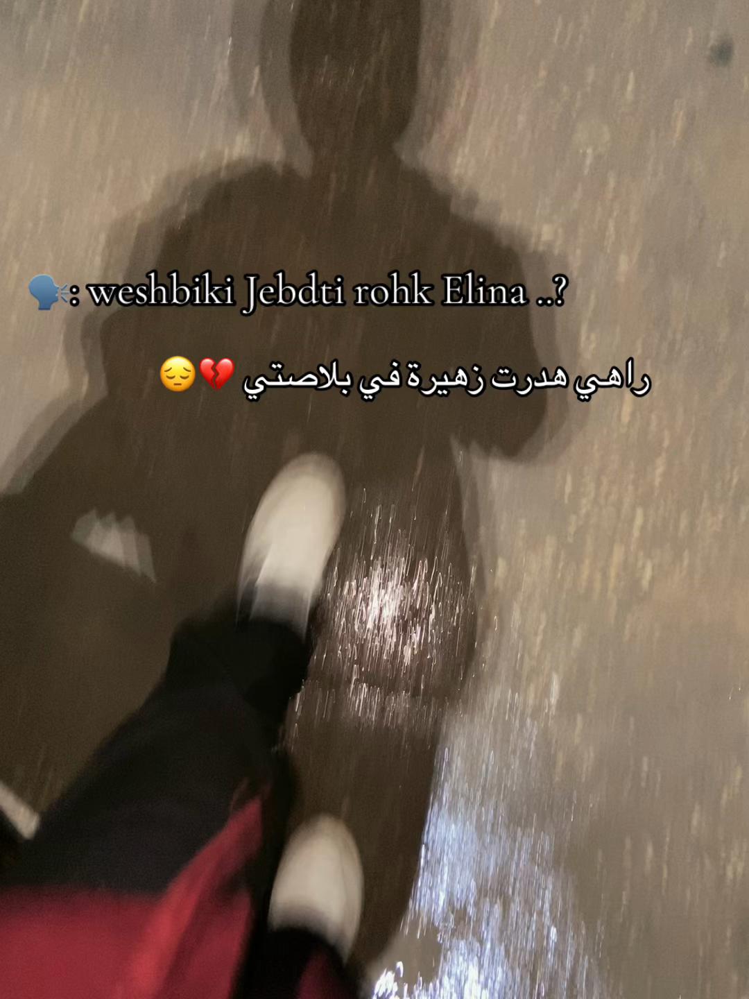 @🕊️