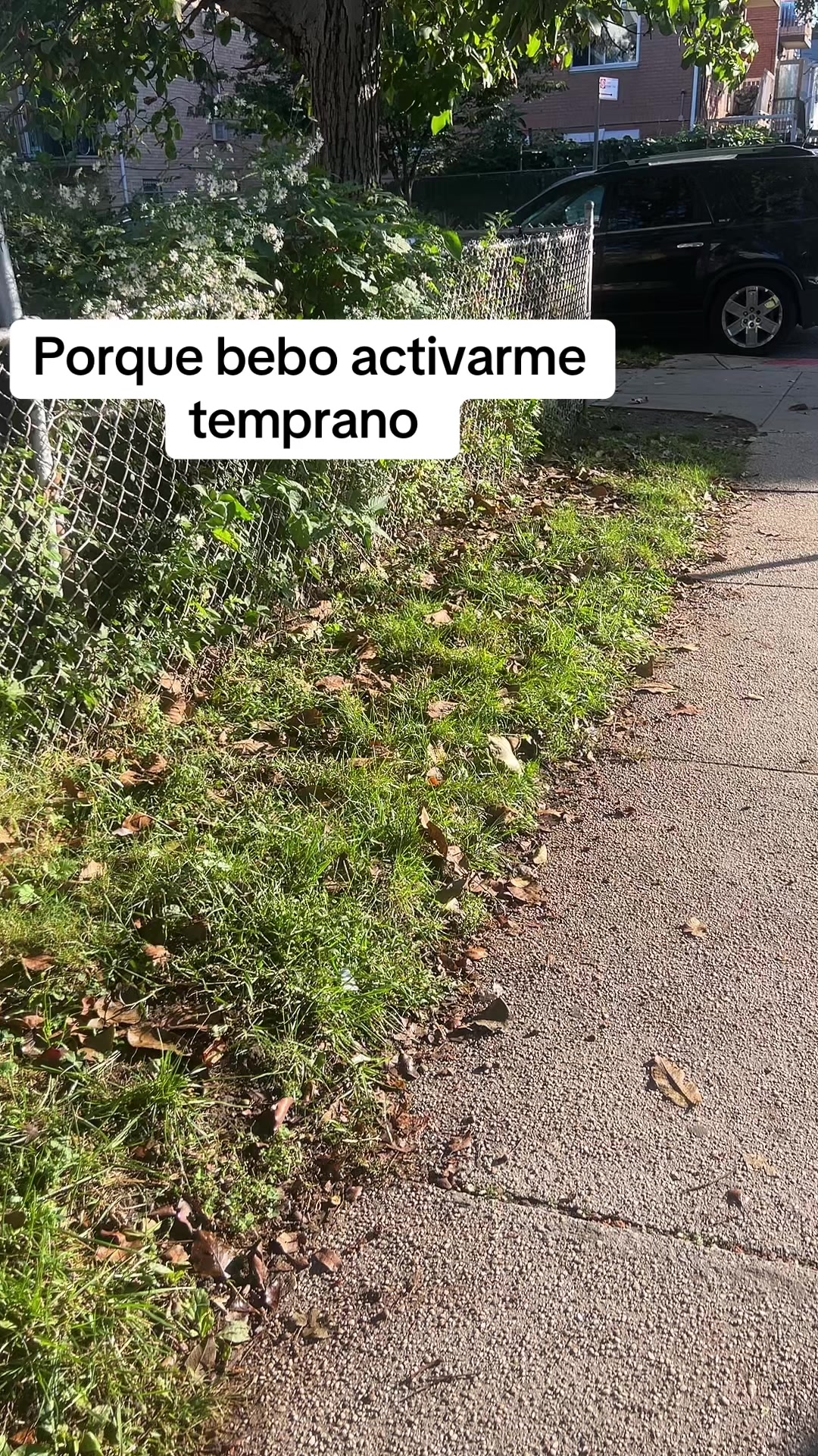 @Ade Pérez
