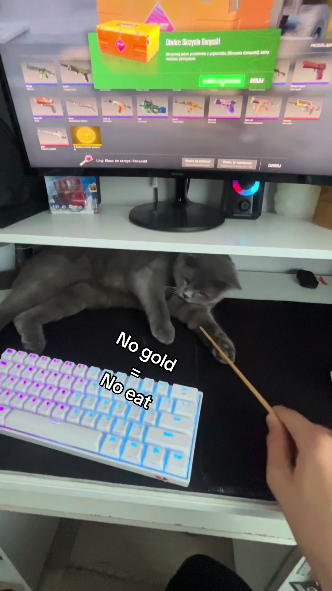@Grafi🐱