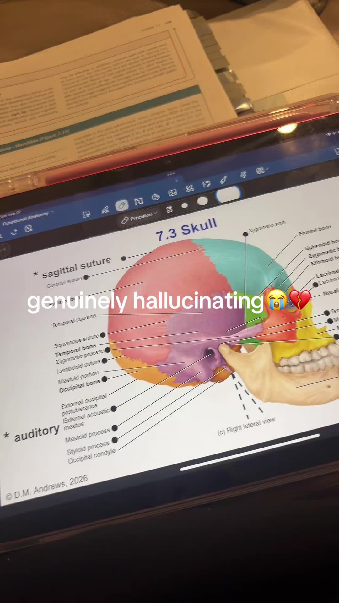 @ريتا