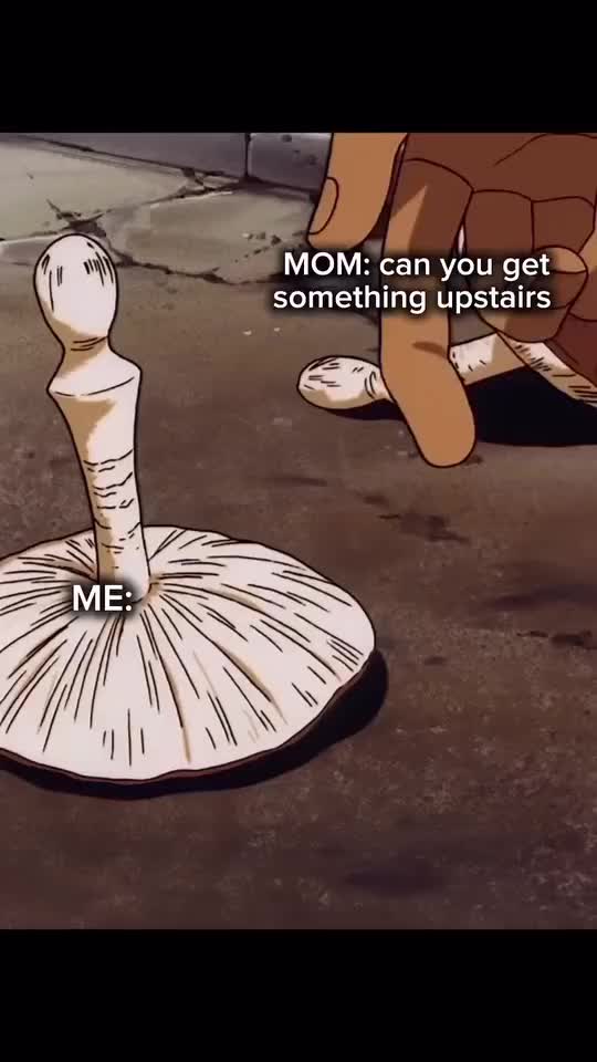@sioo.