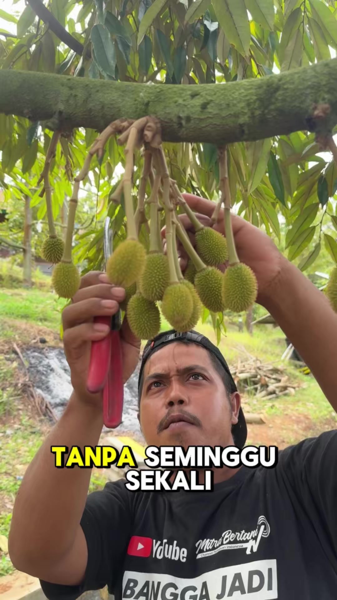 @AA KADU