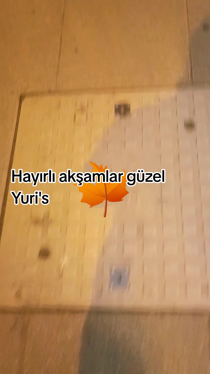@Ada