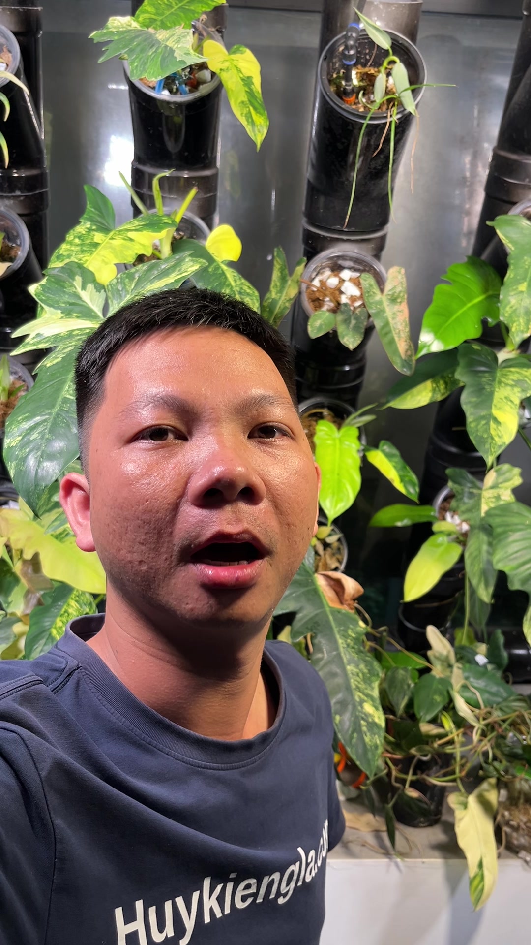 @Huy Kiểng Lá
