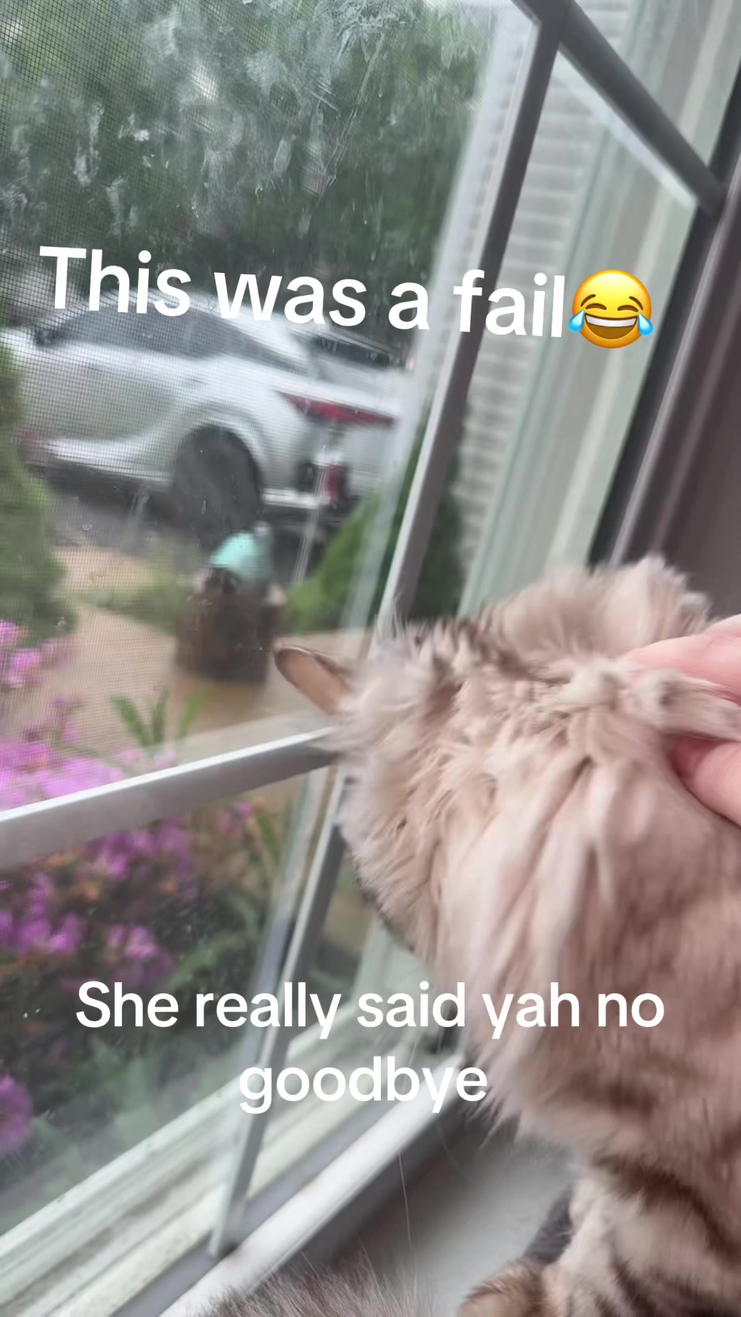 @Hailey | VOB