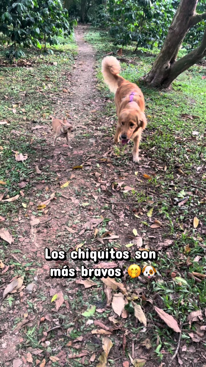 @Mila 🐶